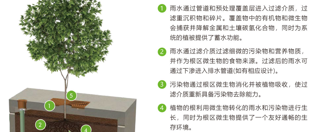 低影响开发理念绿色设施,LID理念绿色设施,智慧雨洪管理方案,智慧雨洪管理系统,华南泵业